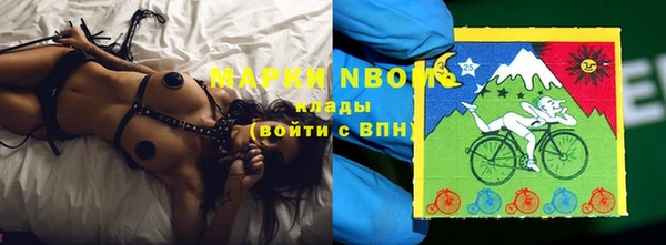 шишки Балахна