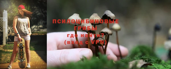 шишки Баксан