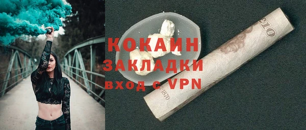 шишки Балахна
