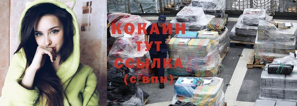 шишки Баксан
