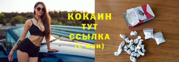шишки Балахна