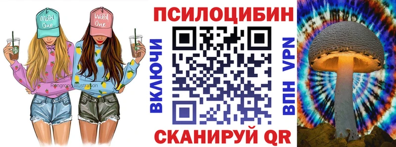 Псилоцибиновые грибы мицелий  где купить наркоту  Ладушкин 